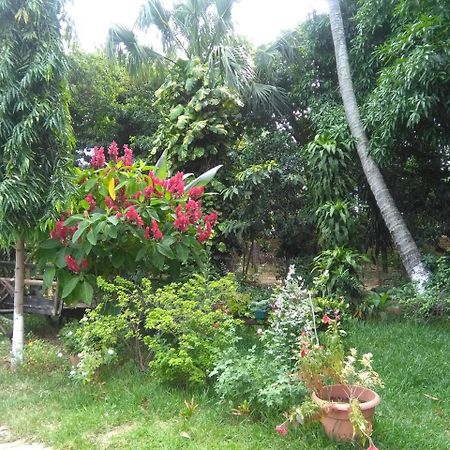 Hostal Casa Vieja Chiquimula Exteriér fotografie