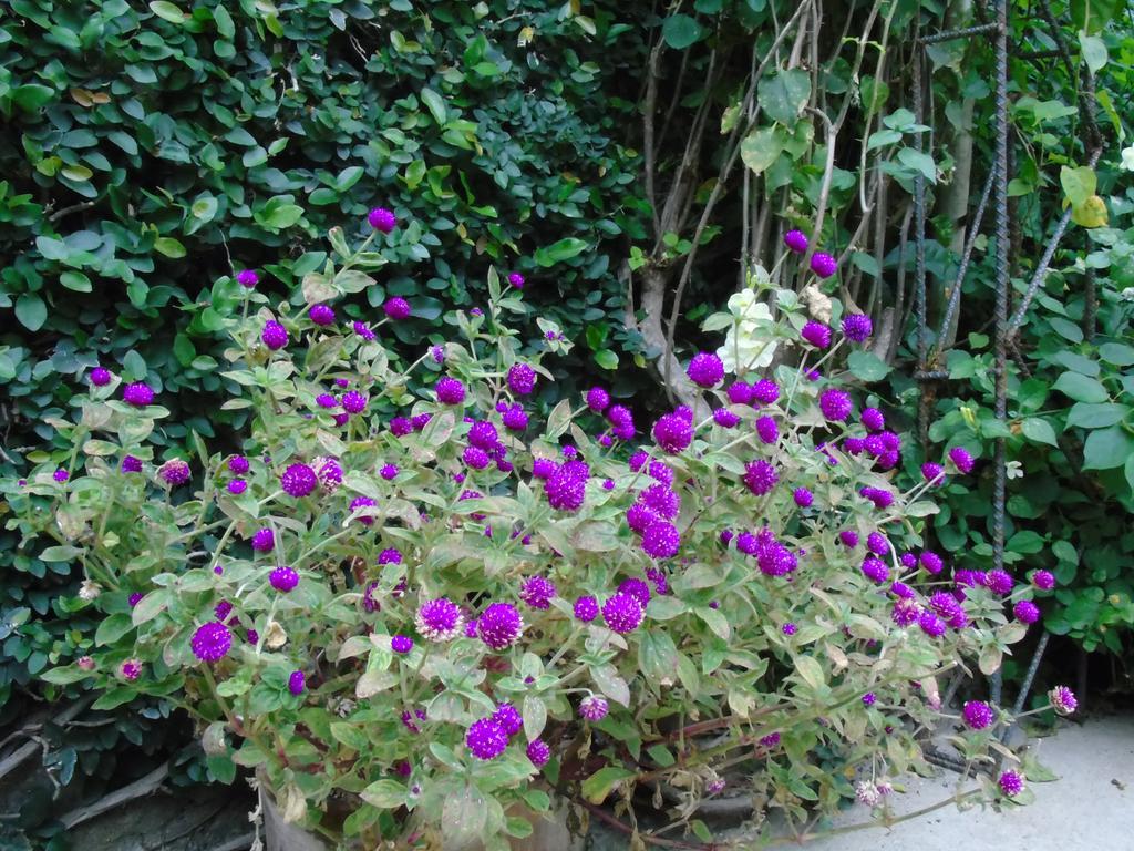 Hostal Casa Vieja Chiquimula Exteriér fotografie