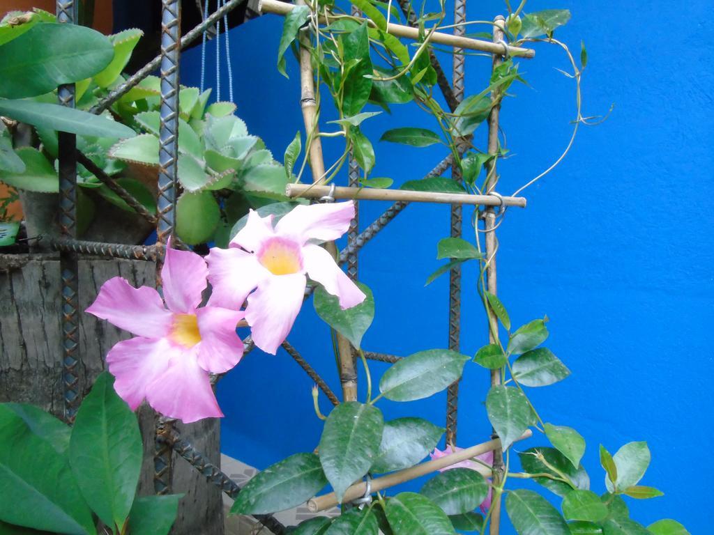 Hostal Casa Vieja Chiquimula Exteriér fotografie